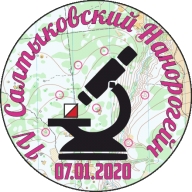 IV Традиционные Соревнования «Салтыковский Нанорогейн 2020»